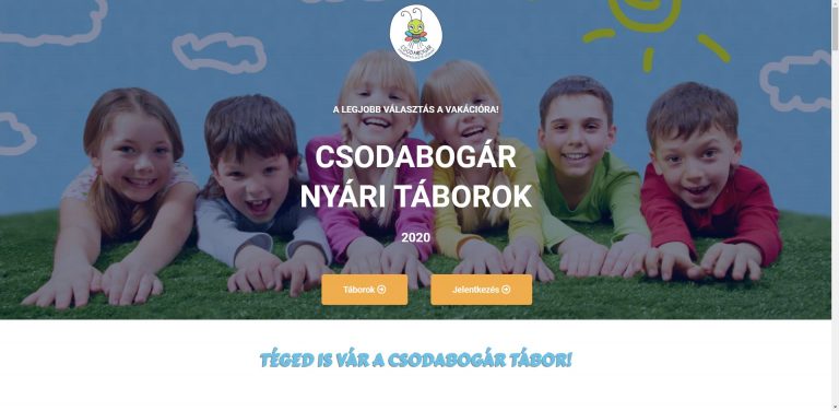 Referenciák 7